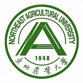 东华大学考研辅导班